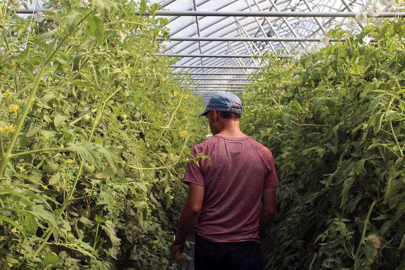 THANK A FARMER: Tiny farm serves loyal, local market